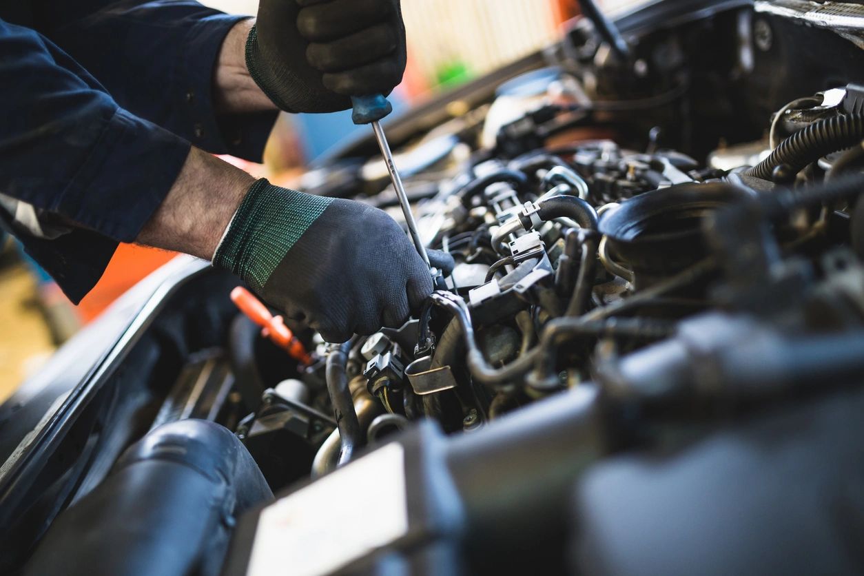 TNT Auto Protect team of professionals